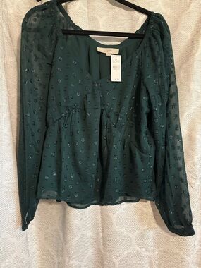 LOFT Teal Green Sheer V-Neck Long-Sleeve Blouse